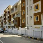 Elevation  elite Elevation