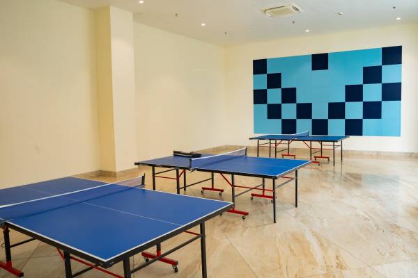  aquaview Table Tennis