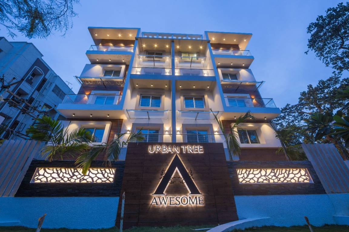 Images for Elevation of Urban Tree Awesome