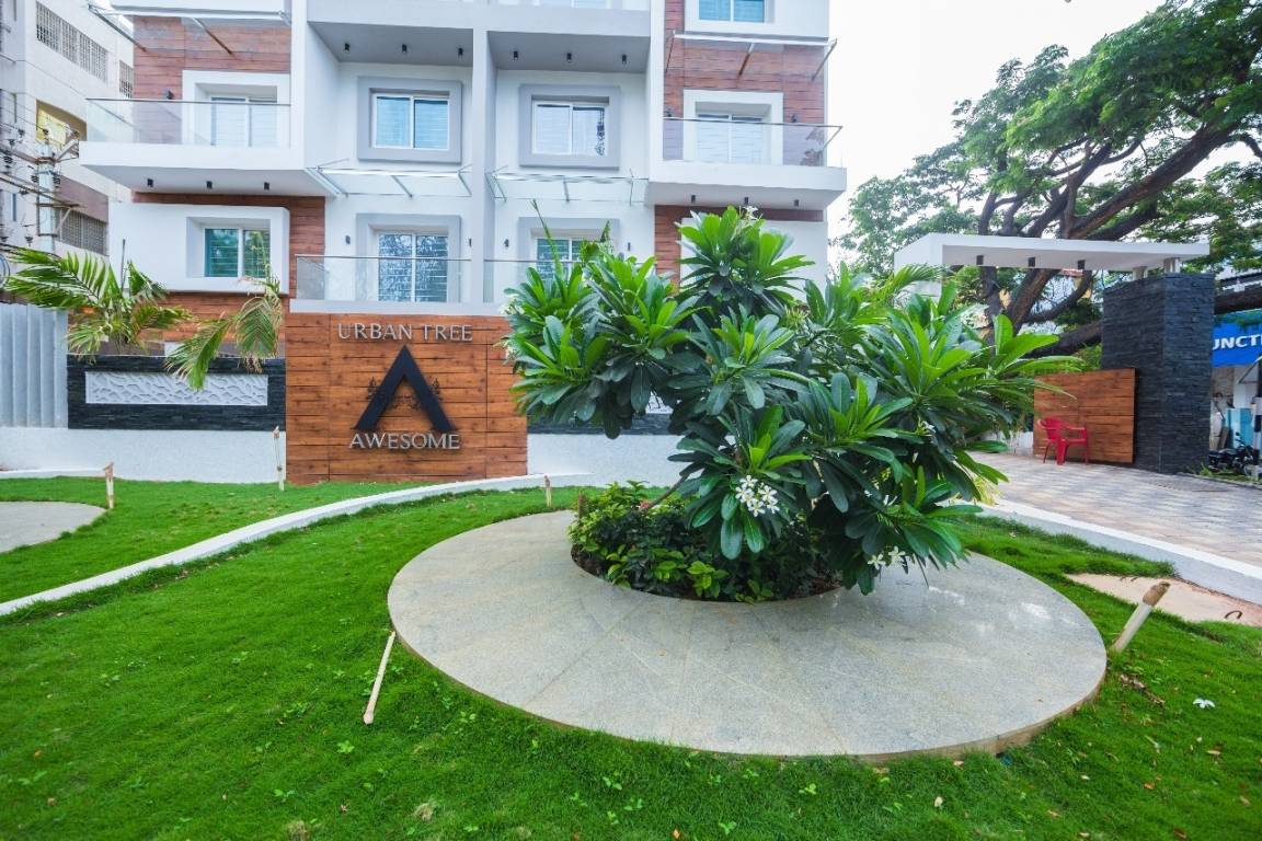 Images for Amenities of Urban Tree Awesome