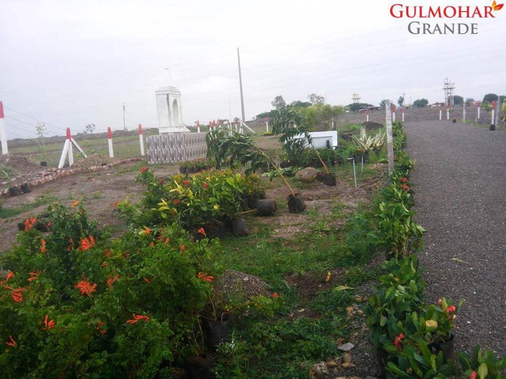 Images for Main Other of Castle Dream Gulmohar Grande NA Plots
