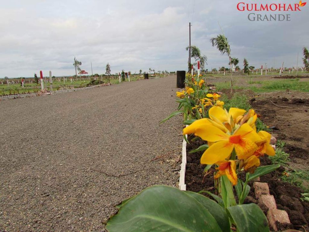 Images for Main Other of Castle Dream Gulmohar Grande NA Plots