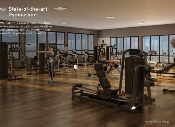  the-sanctuary Gymnasium