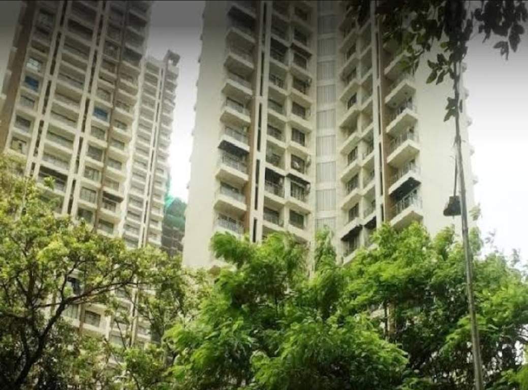  anthurium valentine Elevation