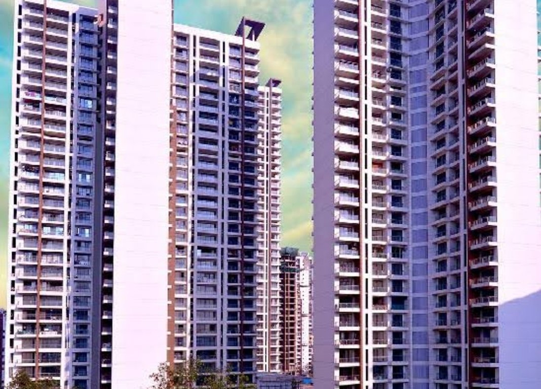  anthurium valentine Elevation