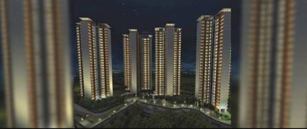  anthurium-valentine Elevation