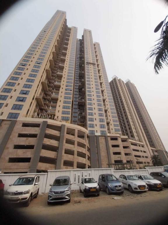 avidipta phase ii Elevation