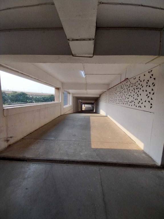 avidipta phase ii Others