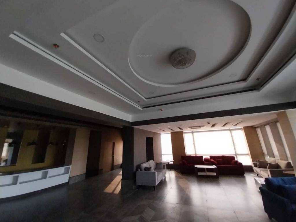 avidipta phase ii Others