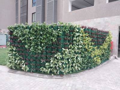 Others avidipta-phase-ii Others