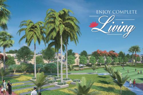  city Images for Amenities of Oro City