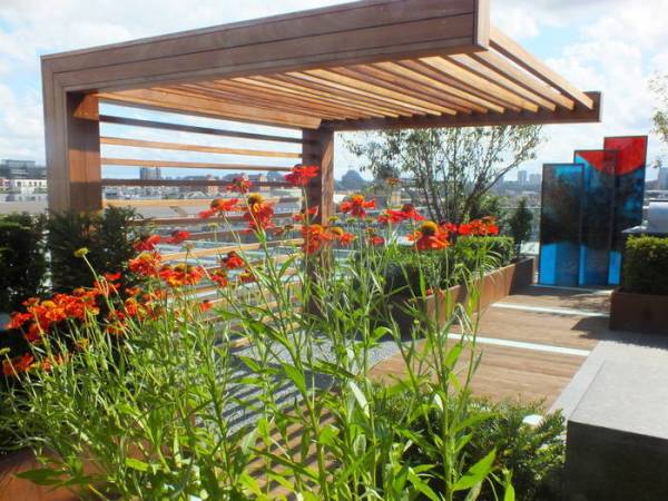  avant-hillway- Pergola