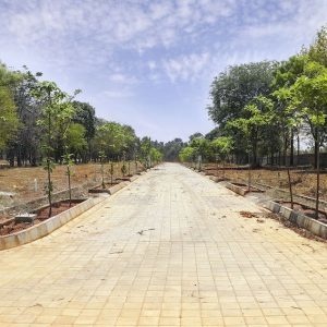  atmosphere sunshine hills Elevation