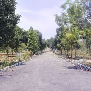  atmosphere sunshine hills Elevation