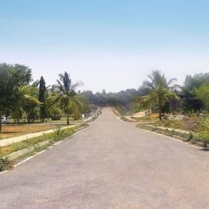  atmosphere sunshine hills Elevation