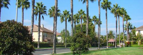 Images for Elevation of Bluejay Atmosphere Sunshine Hills atmosphere-sunshine-hills Images for Elevation of Bluejay Atmosphere Sunshine Hills