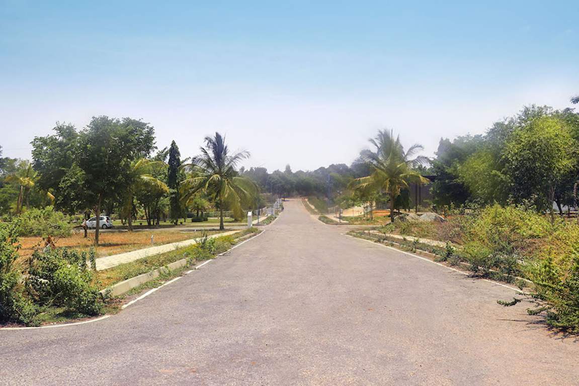  atmosphere sunshine hills Images for Main Other of Bluejay Atmosphere Sunshine Hills