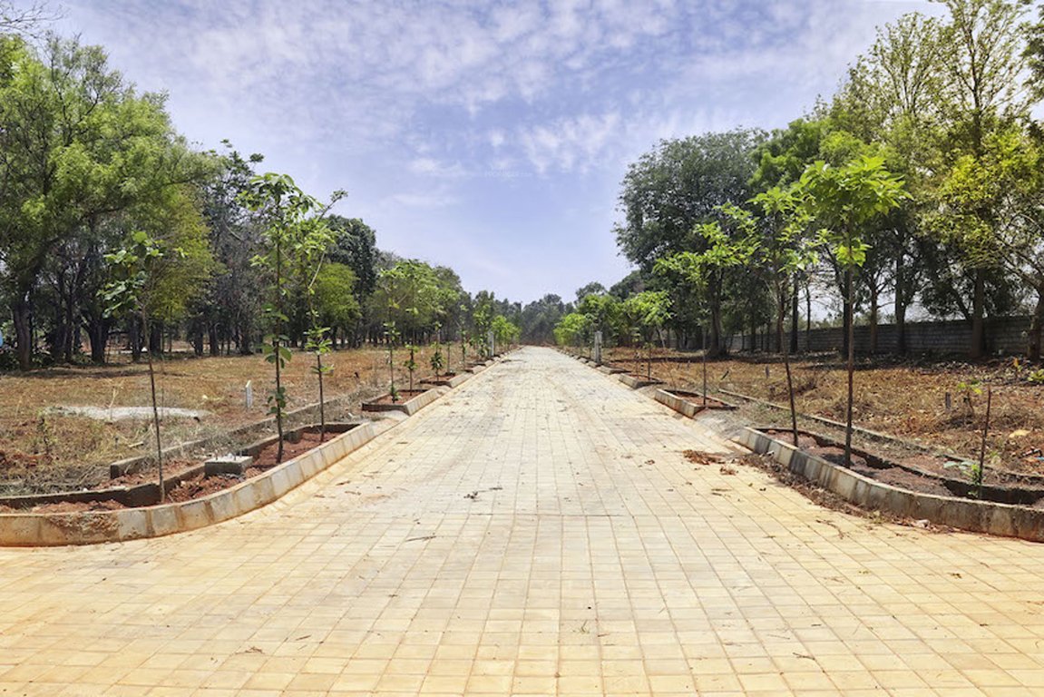 Images for Main Other of Bluejay Atmosphere Sunshine Hills