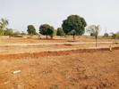Vision Aarambh