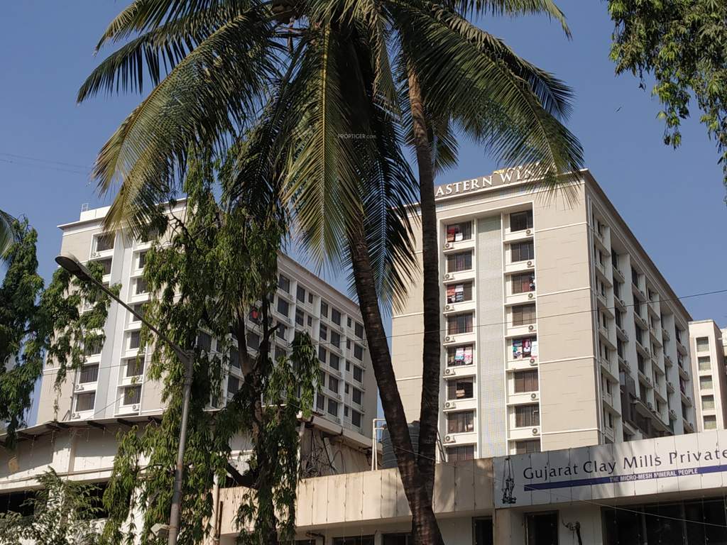  eastern winds  Elevation