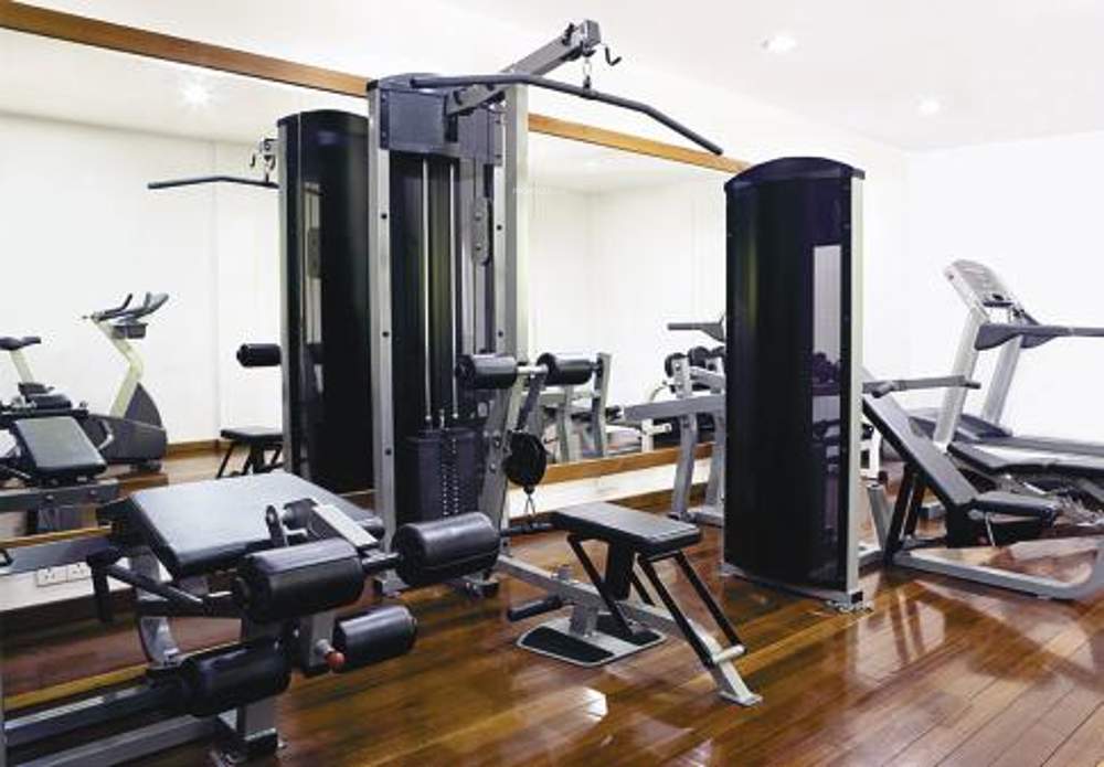  eastern winds  Gymnasium