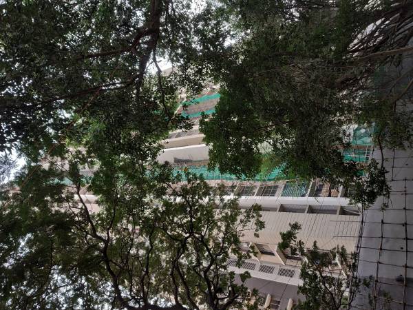 Images for Construction Status of Neptune Eleve Wing D