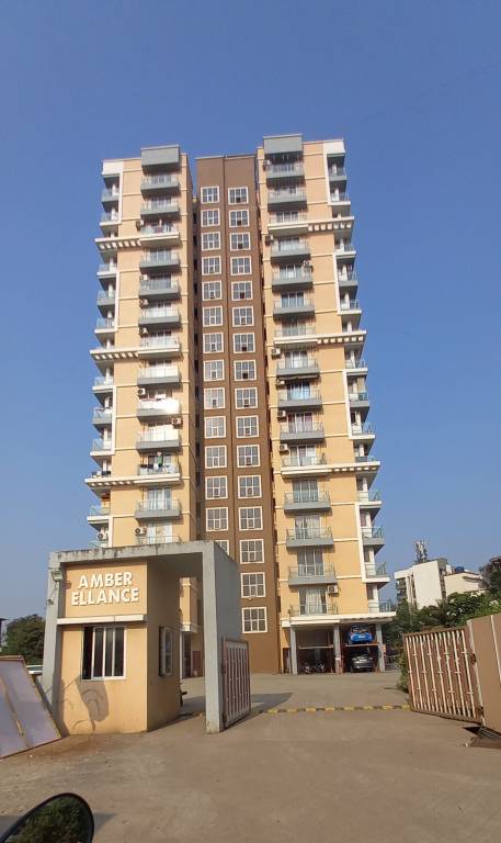  amber ellance a 1 Elevation