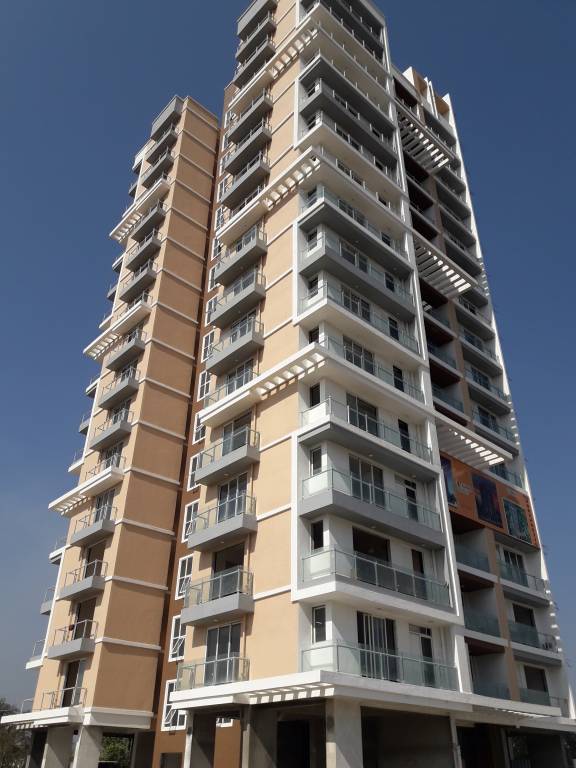  amber ellance Images for Project