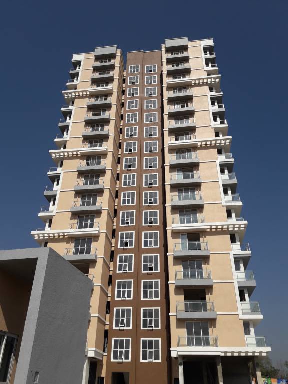  amber ellance Images for Project