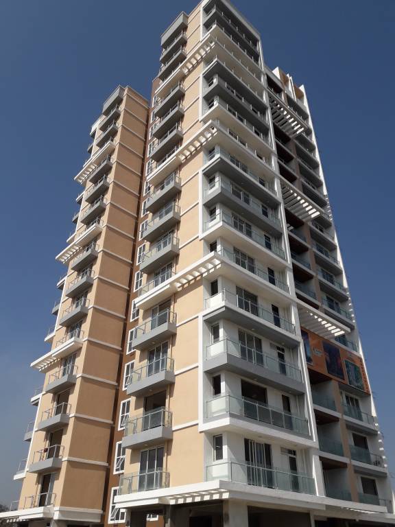  amber ellance Images for Project