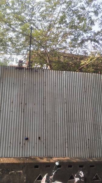  bayview Construction Status July-25