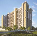  aria-phase-i Elevation