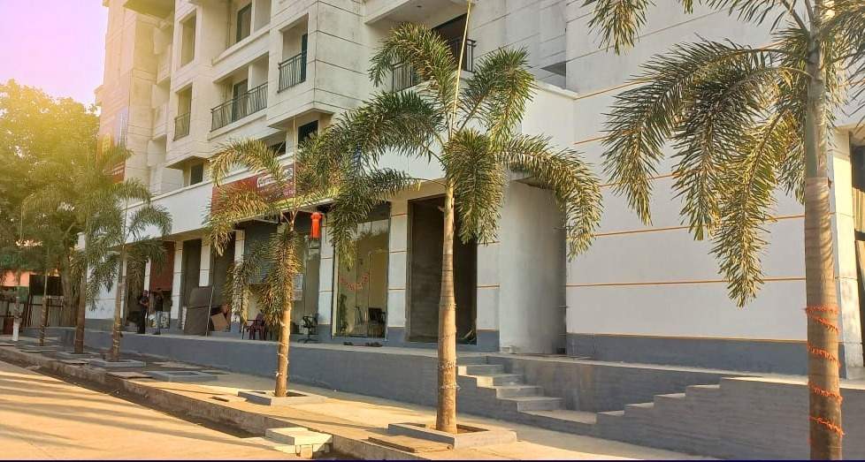  garden estate Others