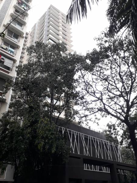 Elevation neelkanth-tirth-chsl Elevation