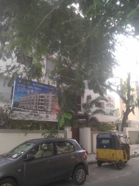  pearl-house Elevation