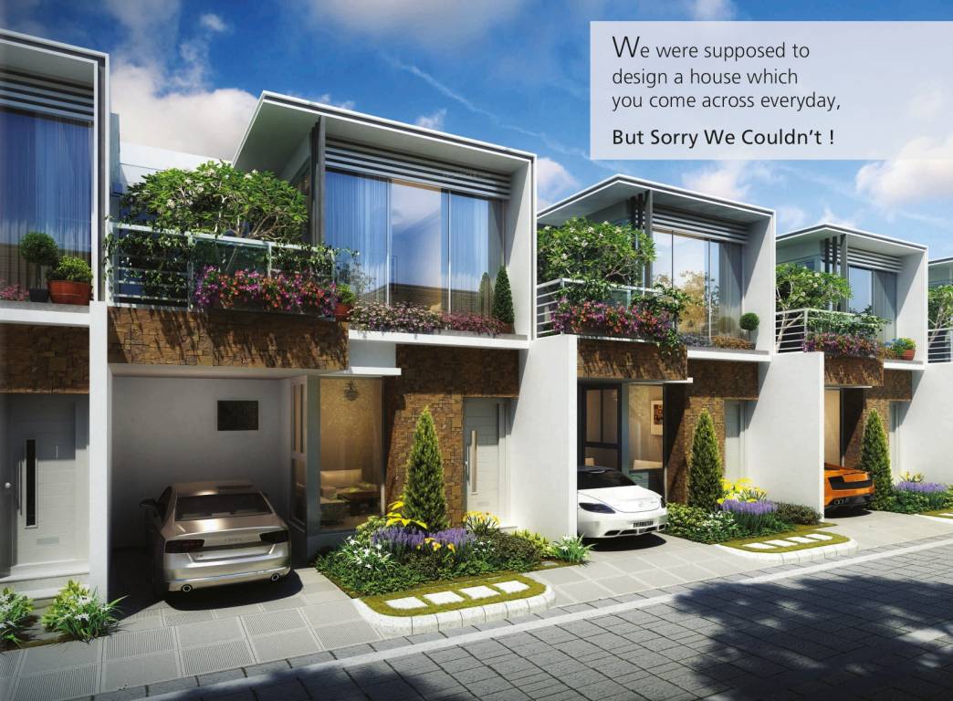  garden and skies Elevation