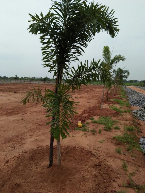 Images for Main Other of Mudra Resorts And Farm Land