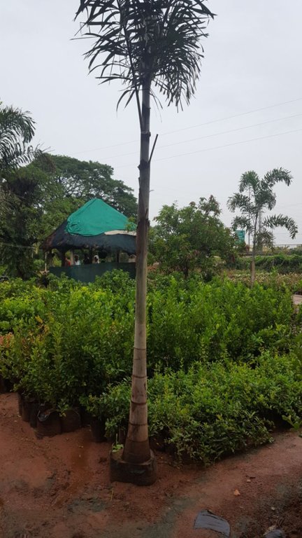 Images for Main Other of Mudra Resorts And Farm Land