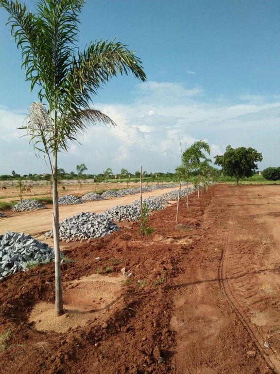 Images for Main Other of Mudra Resorts And Farm Land
