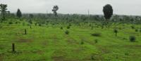 Vrindavan Garden