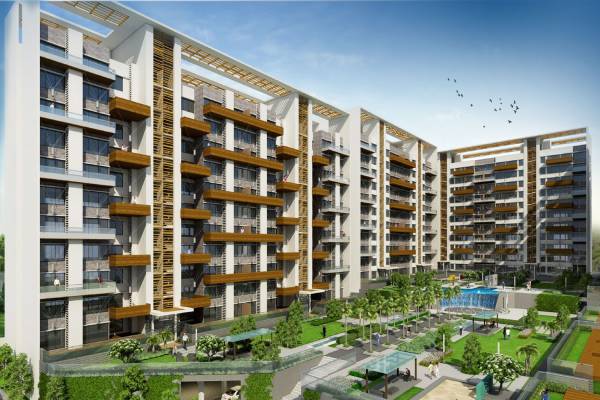 Images for Elevation of Lushlife Ovo