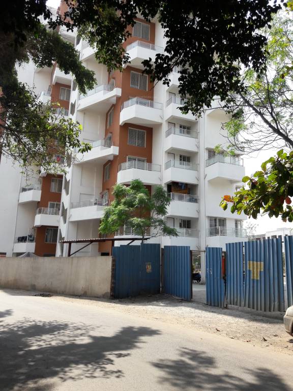  paradise e Elevation