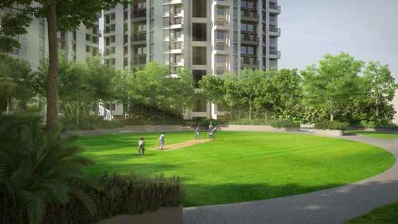  capital city Cricket Pitch