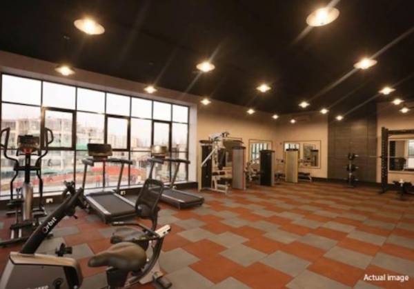  iconia-phase-iii Gymnasium