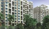 Tropica Phase III