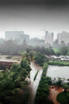  tropica-phase-iii Others