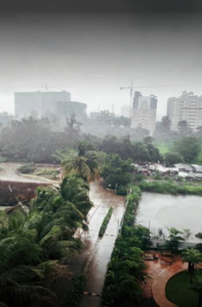  tropica-phase-iii Others