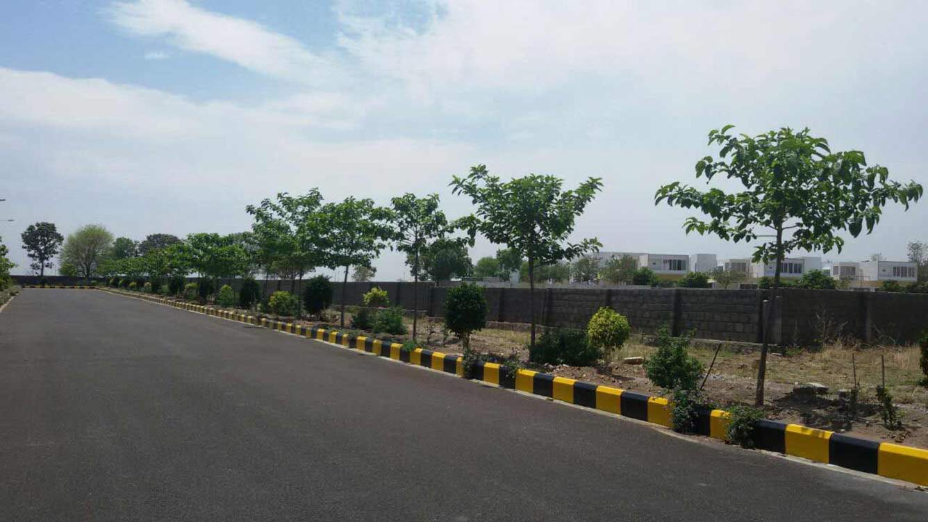  royal city Images for Main Other of Fortune Royal City