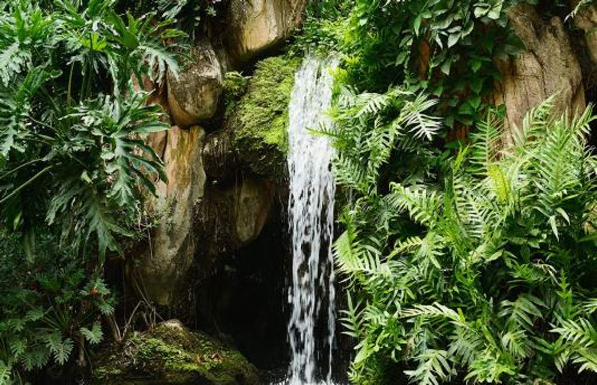 Images for Amenities of Shriram Green Field Phase 2