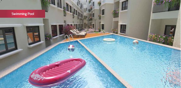  flamenco Swimming Pool